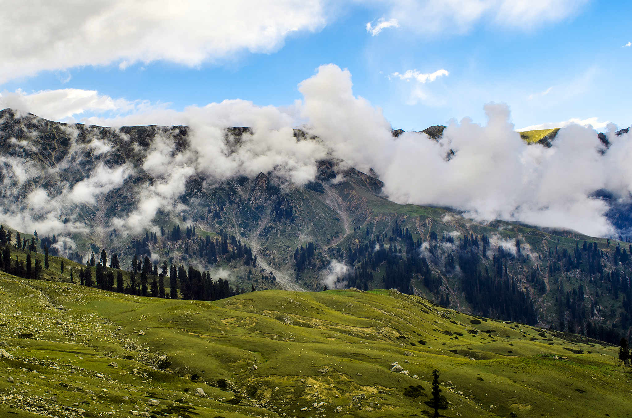 SWAT VALLEY TOURS