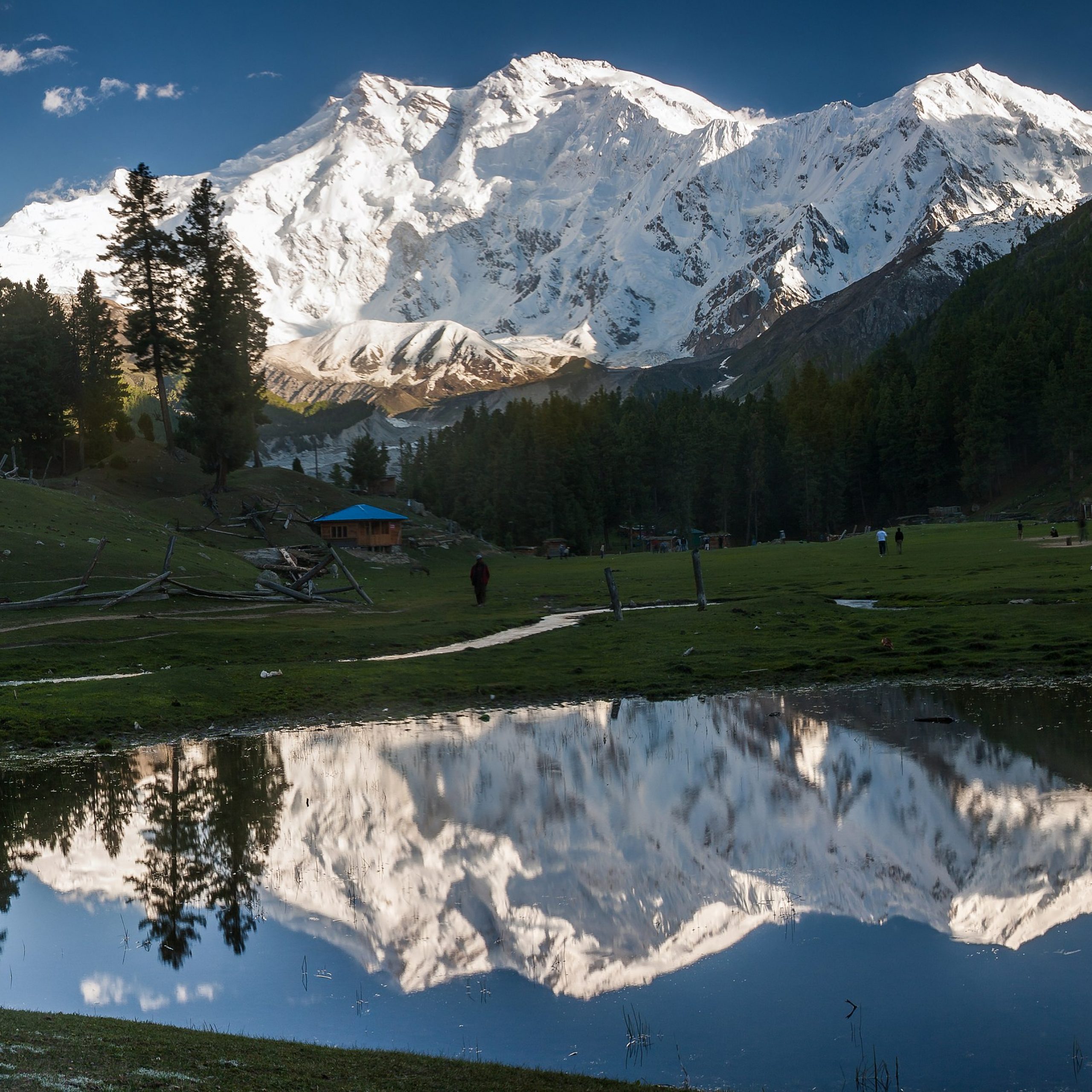 Fairy Meadows Tours